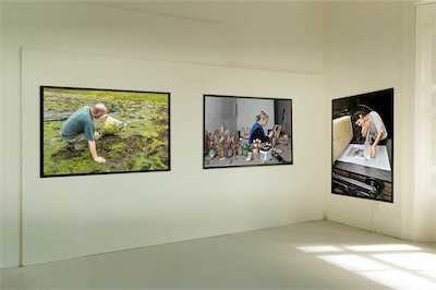 The Exhibition Layout